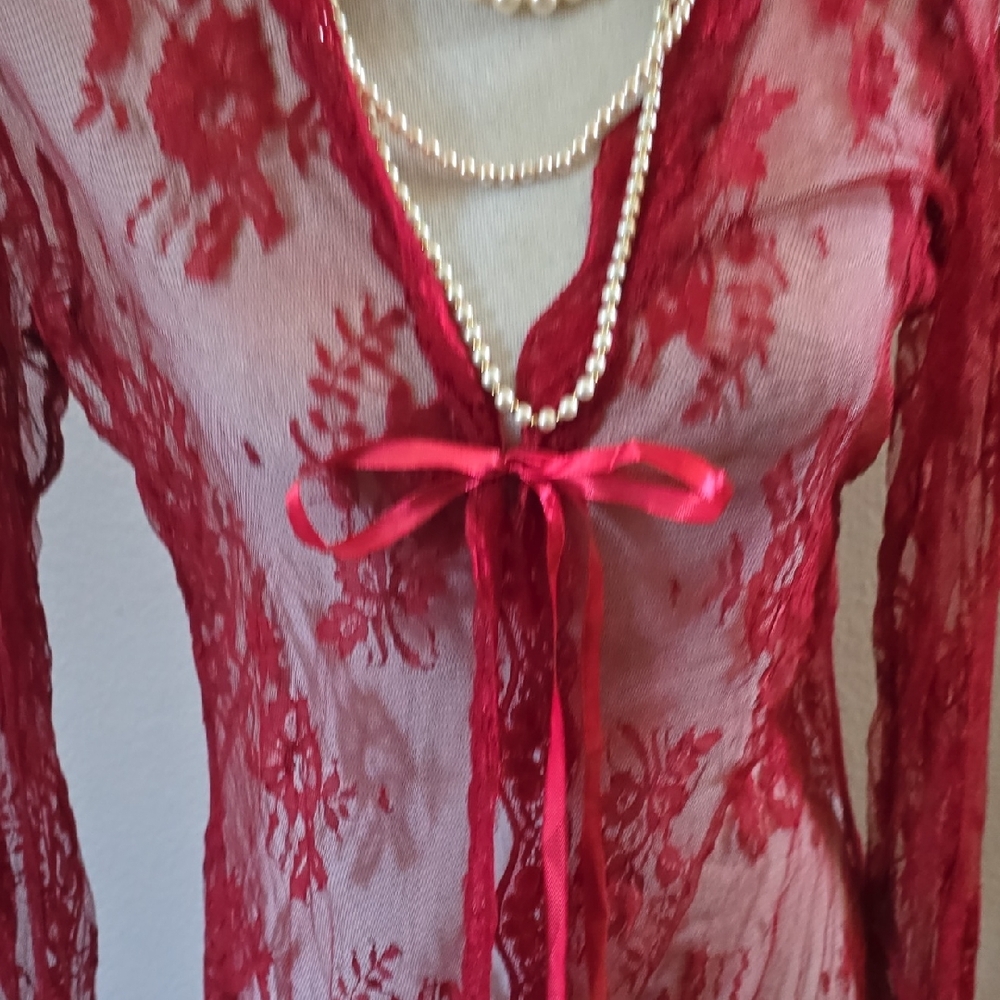 Luxurious Scarlet Lace Robe - Picture 4 of 9
